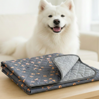 Potty Pad - The Last Pee Pad You'll Need